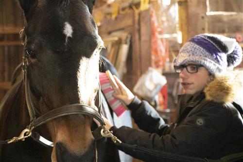 hayisforhorses 